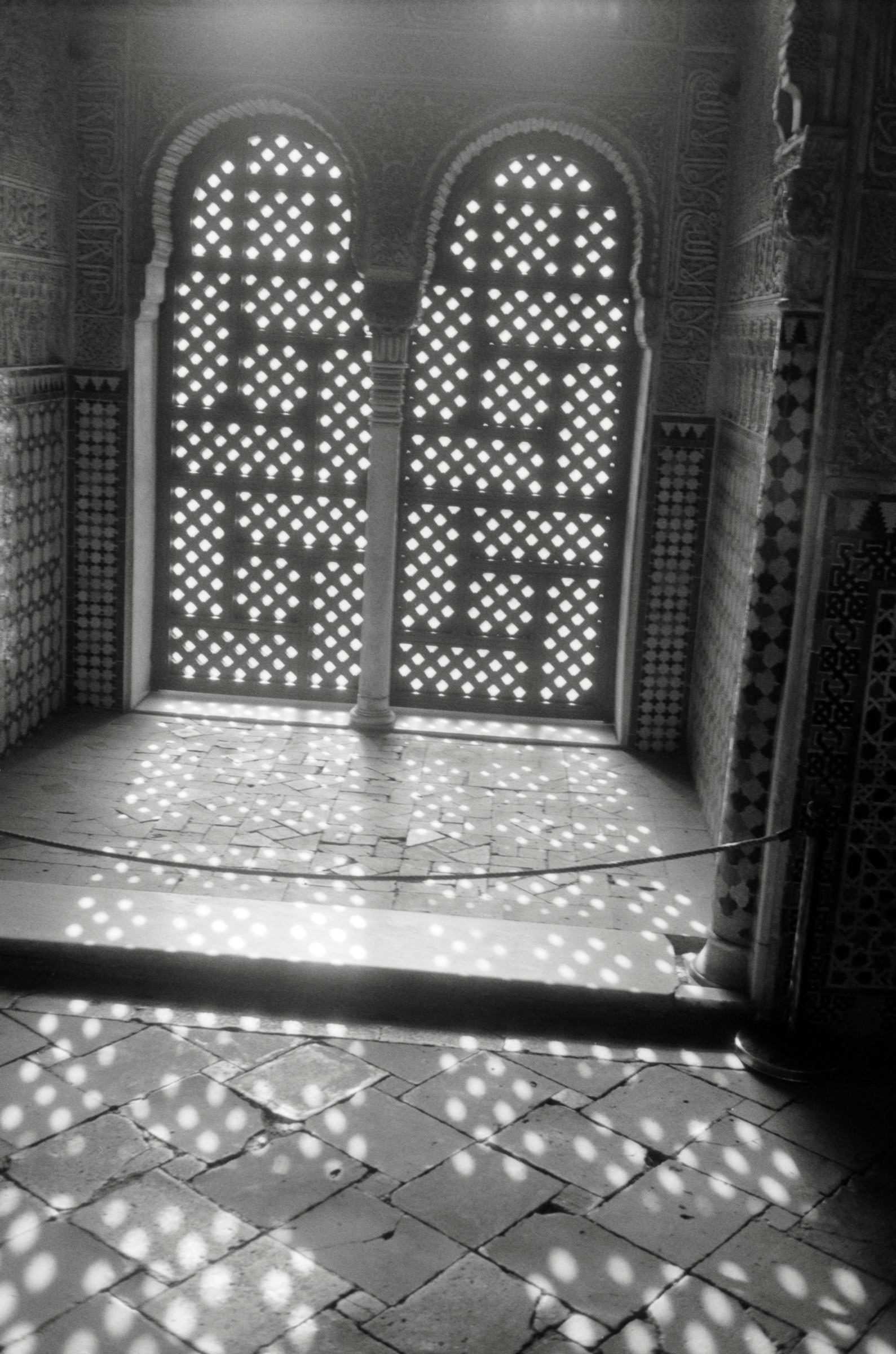 AHP F2001 07 001 sc240901 img33 NLP